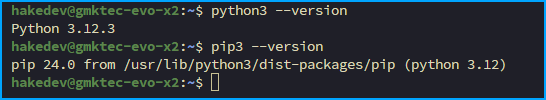 Terminal output on GMKtec EVO-X2 showing python3 --version returning Python 3.12.3 and pip3 --version returning pip 24.0 from python 3.12