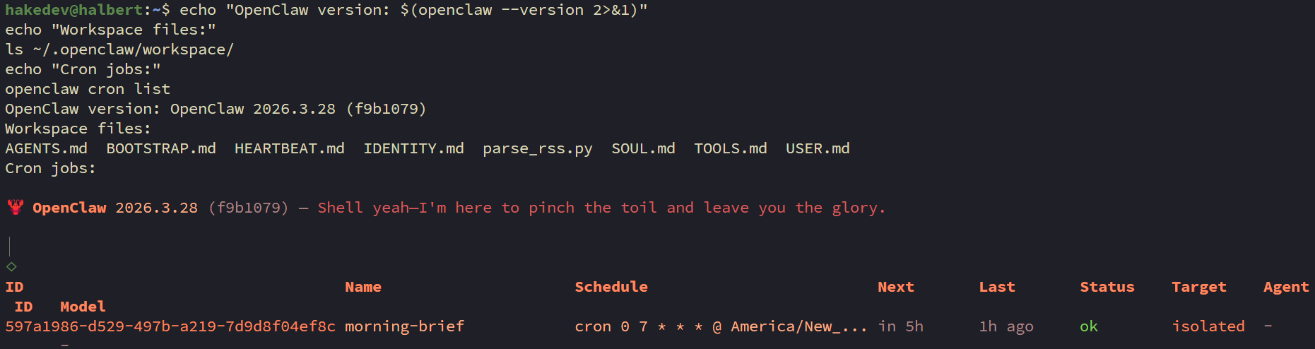 Pre-wipe state snapshot showing OpenClaw version 2026.3.28, workspace files, and the morning-brief cron job