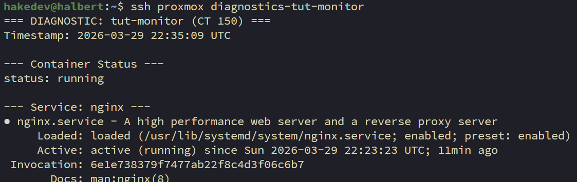 Terminal showing diagnostics-tut-monitor output with container running, nginx active, and structured diagnostic sections