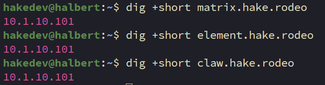 Terminal showing dig +short commands verifying matrix.hake.rodeo, element.hake.rodeo, and claw.hake.rodeo all resolve to 10.1.10.101