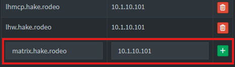 Pi-hole admin interface showing local DNS records with matrix.hake.rodeo pointing to 10.1.10.101 being added
