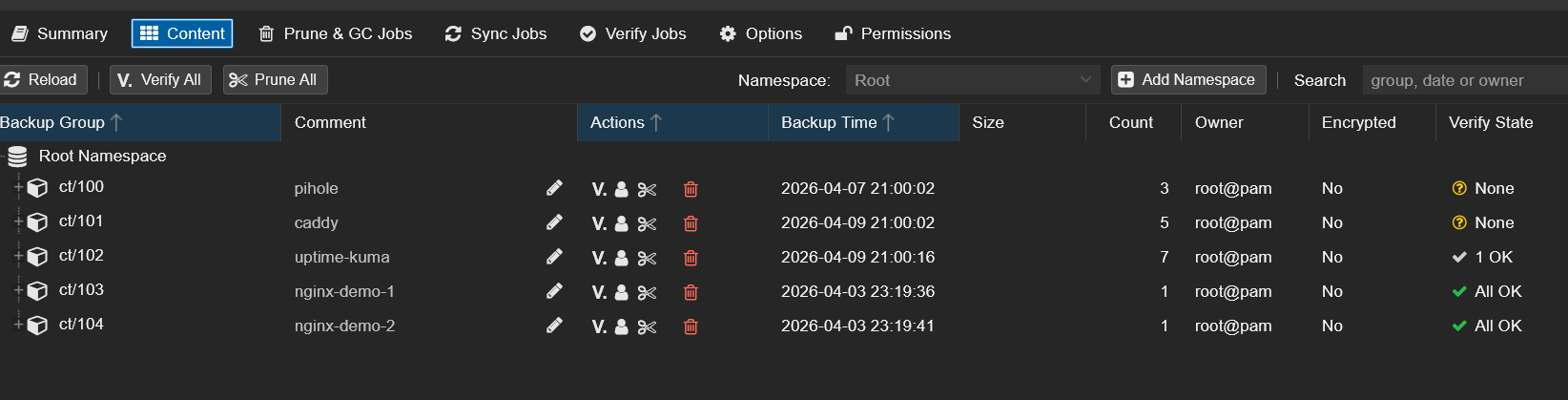 PBS usb-backup Content tab showing five backup groups ct/100 through ct/104 with timestamps after successful sync