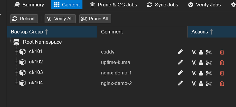 PBS backups Content showing ct/101 through ct/104 with ct/100 removed