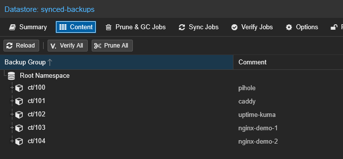 PBS synced-backups Content tab showing five synced backup groups ct/100 through ct/104