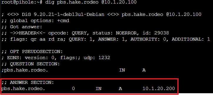 dig output showing pbs.hake.rodeo resolves to 10.1.20.200