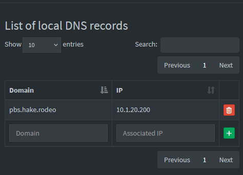 Pi-hole local DNS records showing pbs.hake.rodeo mapped to 10.1.20.200