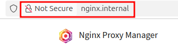 Browser address bar showing nginx.internal with a Not Secure warning, and the NGINX Proxy Manager logo confirming the reverse proxy is working
