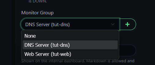 Uptime Kuma monitor group dropdown showing DNS Server tut-dns selected