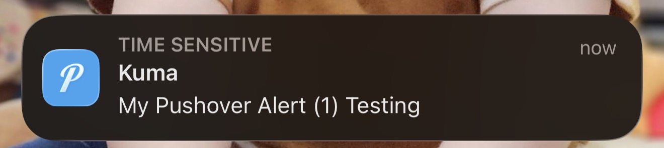 iPhone Pushover notification showing Kuma test alert message