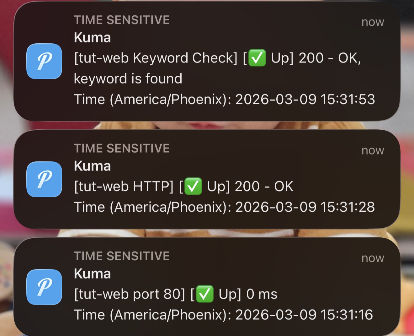 iPhone showing three stacked Pushover recovery notifications for tut-web monitors all reporting up